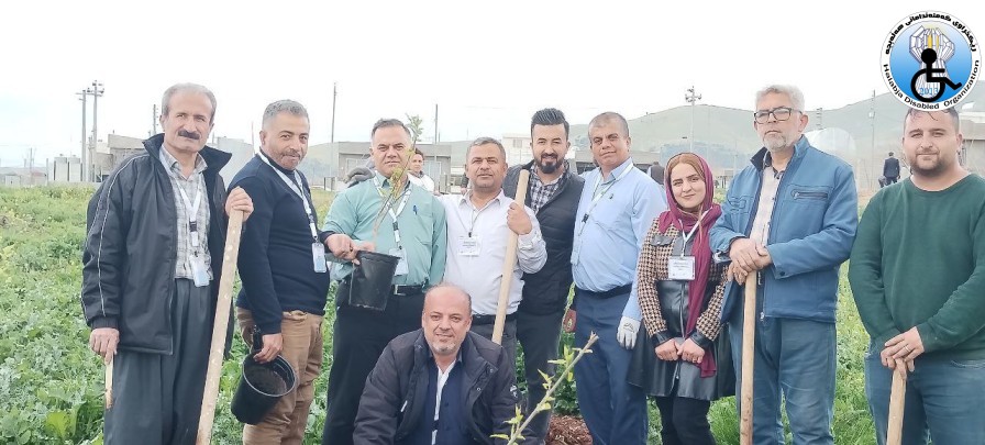 چالاکی ژینگەی