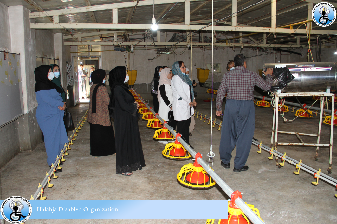 Empowering Women Farmers in Halabja: Our New Smart Poultry Farming Project