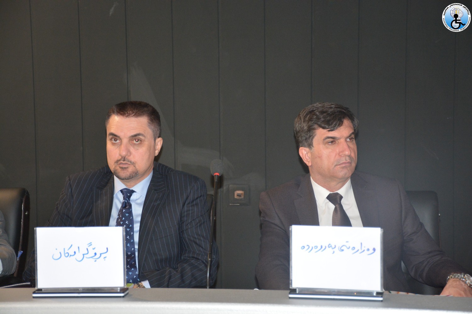 “The Disability Inclusion in Education Conference