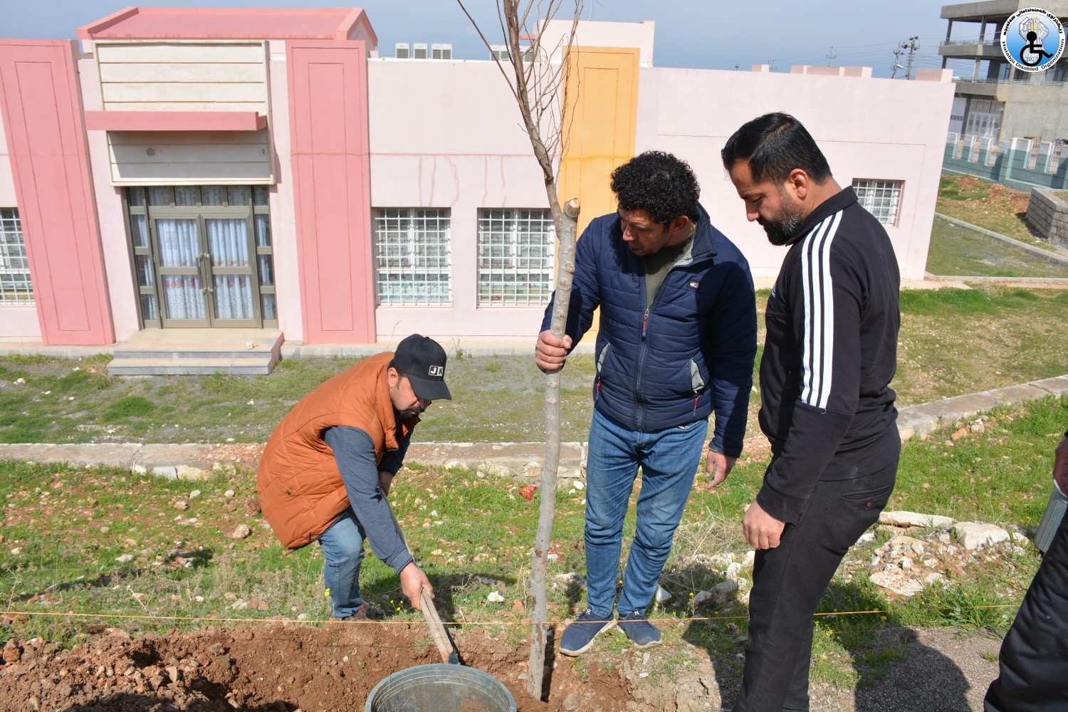 هەڵمەتی چاندنی نەمام