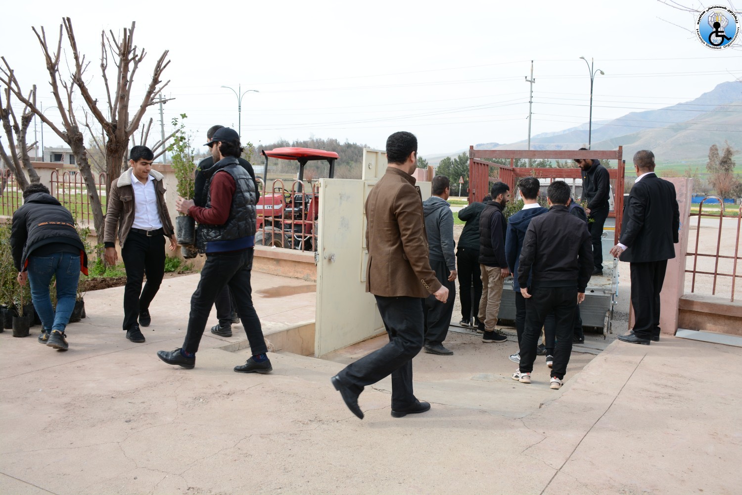 هەڵمەتی چاندنی نەمام