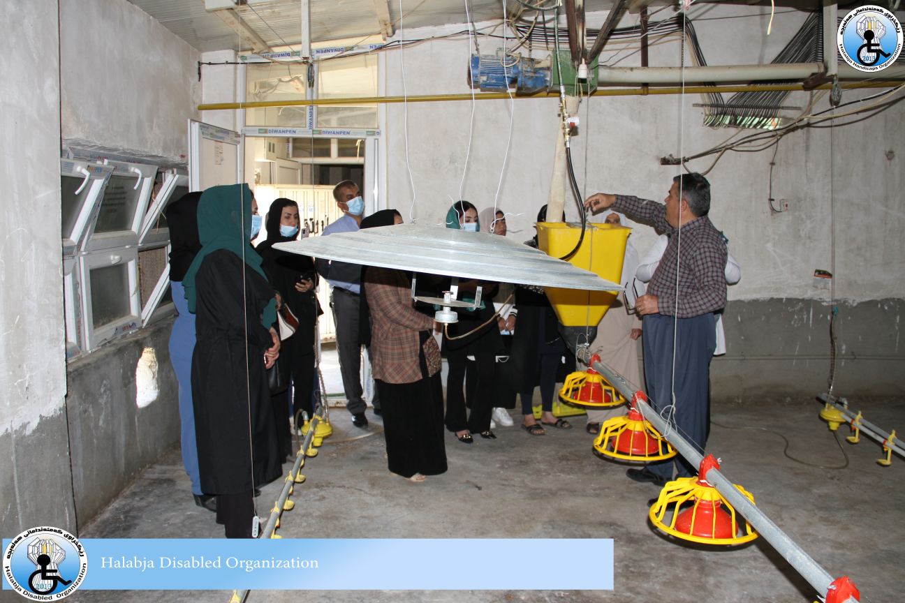 Empowering Women Farmers in Halabja: Our New Smart Poultry Farming Project