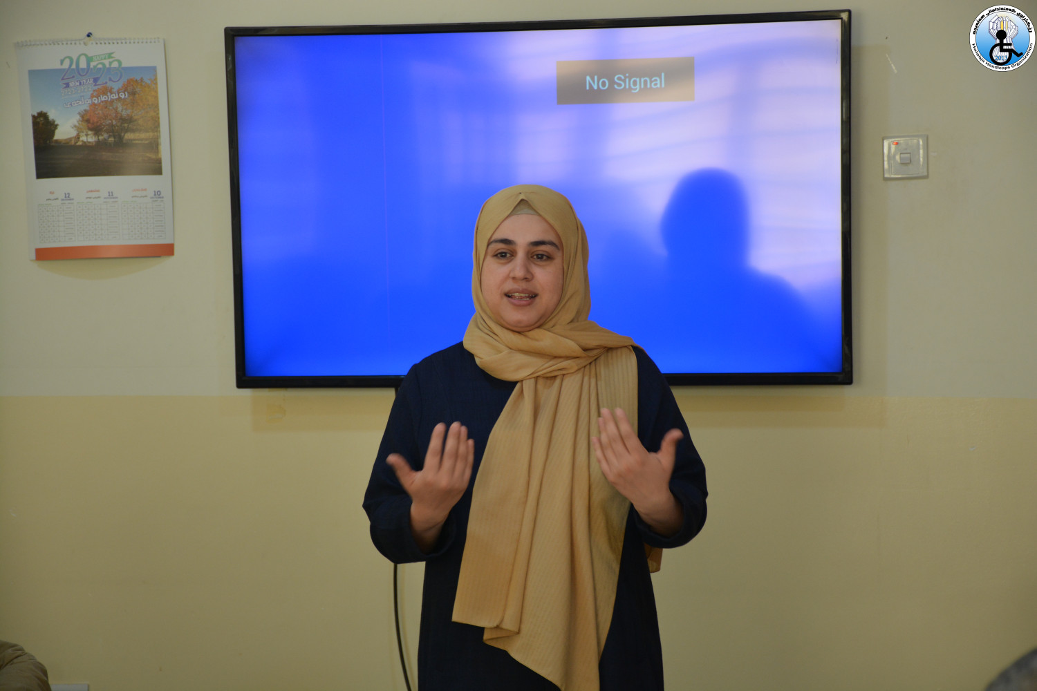 Conducting a workshop