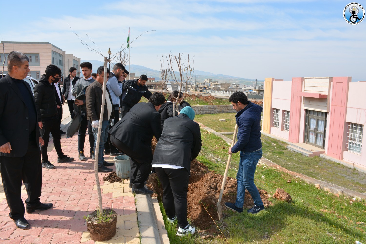 هەڵمەتی چاندنی نەمام